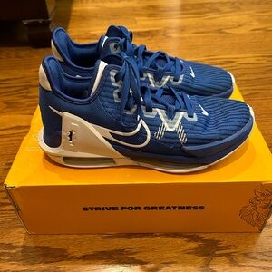 Lebron Witness VI Basketball shoes size 8 Men’s EXCELLENT condition Blue & White